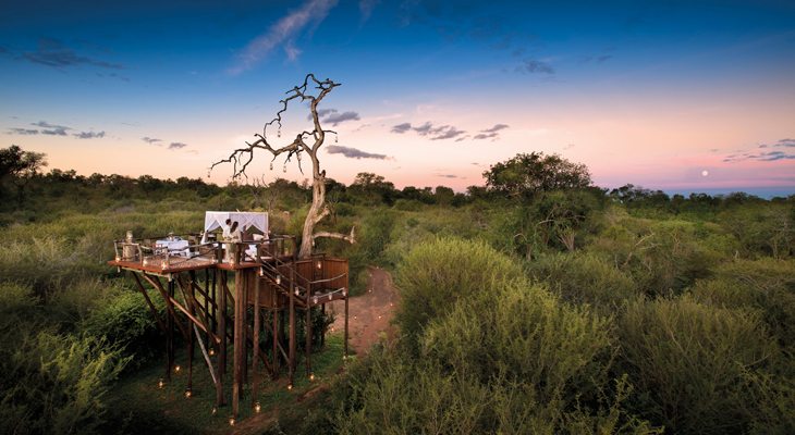 Chalkley Treehouse sleeping outdoors at Lion Sands Private Game Reserve. 