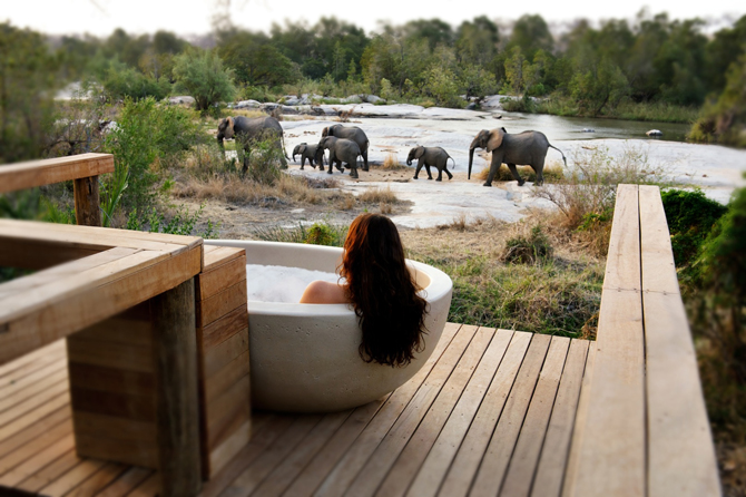 Londolozi, South Africa | Timeless Africa Safaris
