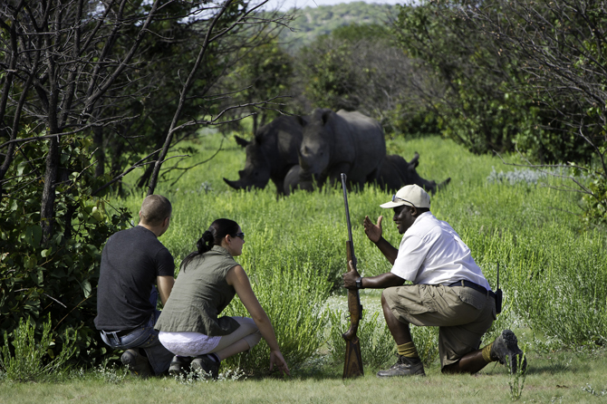 Ongava Lodge, Namibia | Timeless Africa Safaris